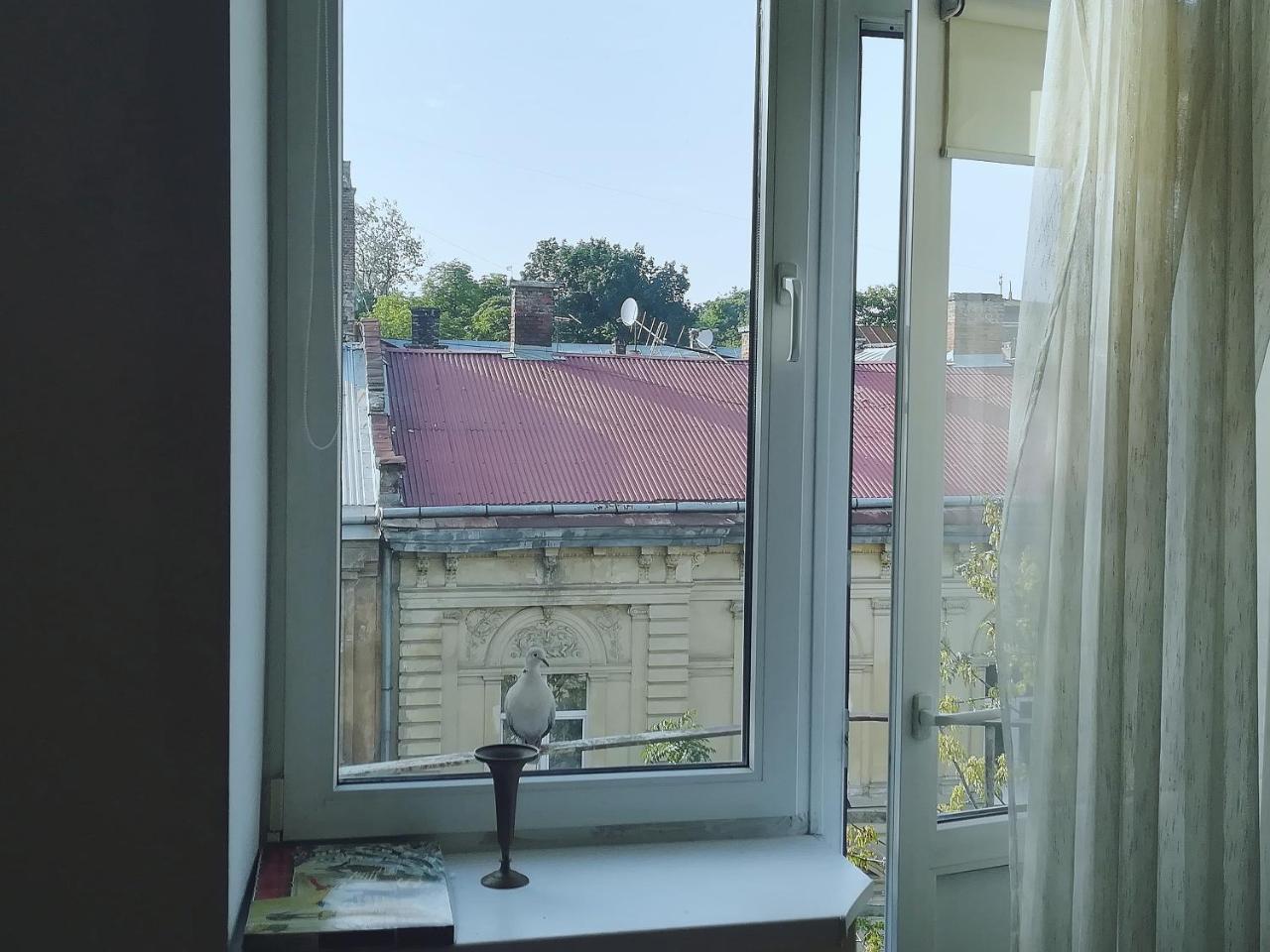 לבוב Valentine Apartment מראה חיצוני תמונה